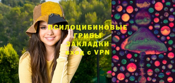 ешки Аркадак