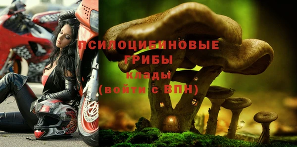 ешки Аркадак